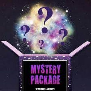 Mystery Surprise Random Variety Hair Accessories & Styling Assortment Package